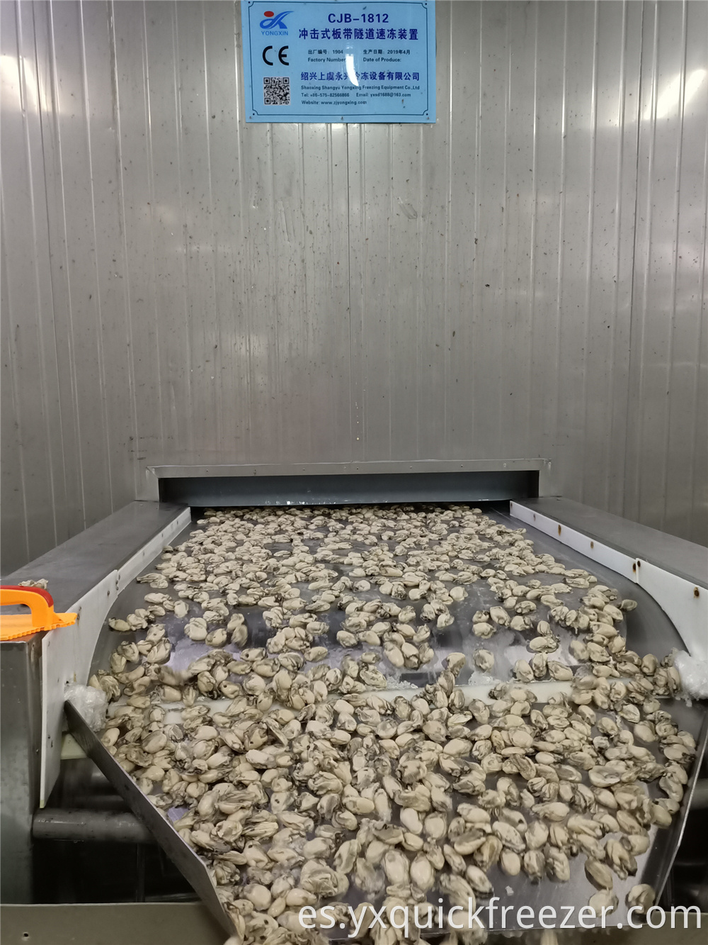Quick Tunnel Freezer For Iqf Oyster